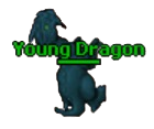 young_dragon